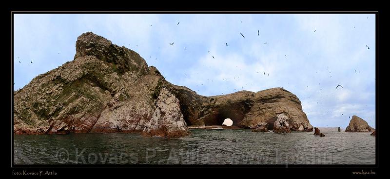 Ballestas Islands 039.jpg